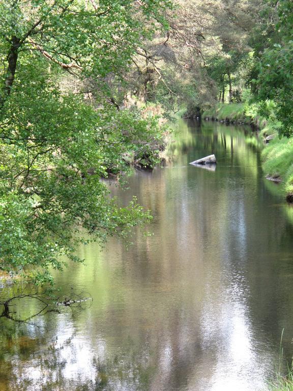 Riversdale House Accommodation Laragh Buitenkant foto