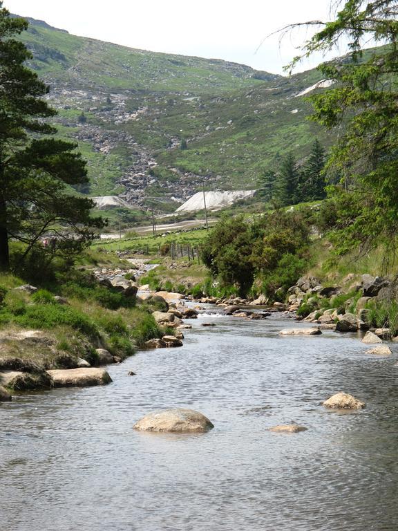 Riversdale House Accommodation Laragh Buitenkant foto