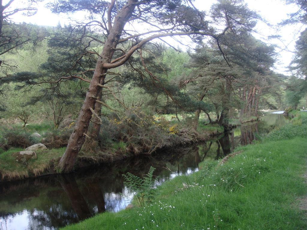 Riversdale House Accommodation Laragh Buitenkant foto
